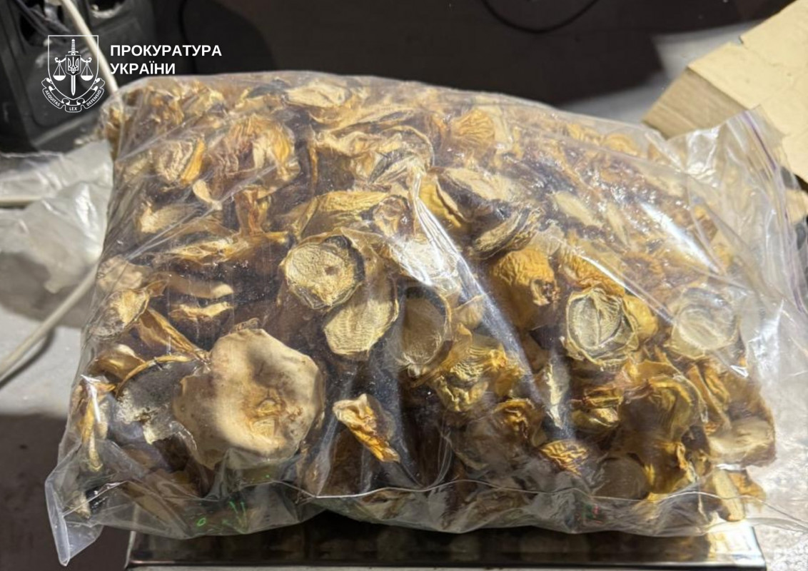 Незаконний бізнес на 430 млн грн: троє волинян організували мережу виготовлення і збуту наркотиків