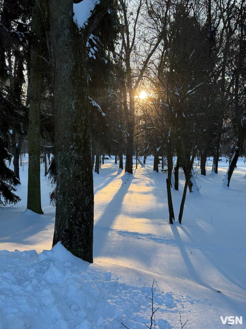 У луцькому парку в мороз –17 °C помітили бігуна без одягу