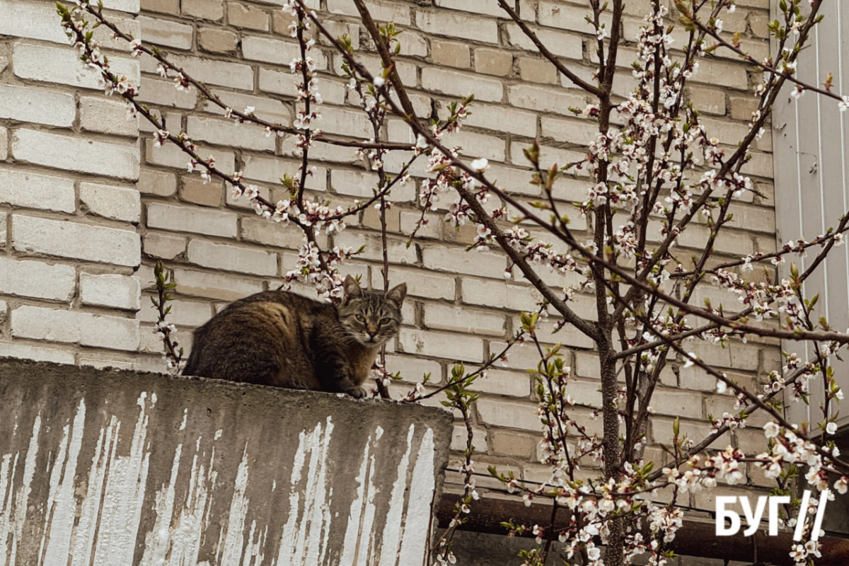 Як змінюється навесні місто на Волині. Фоторепортаж