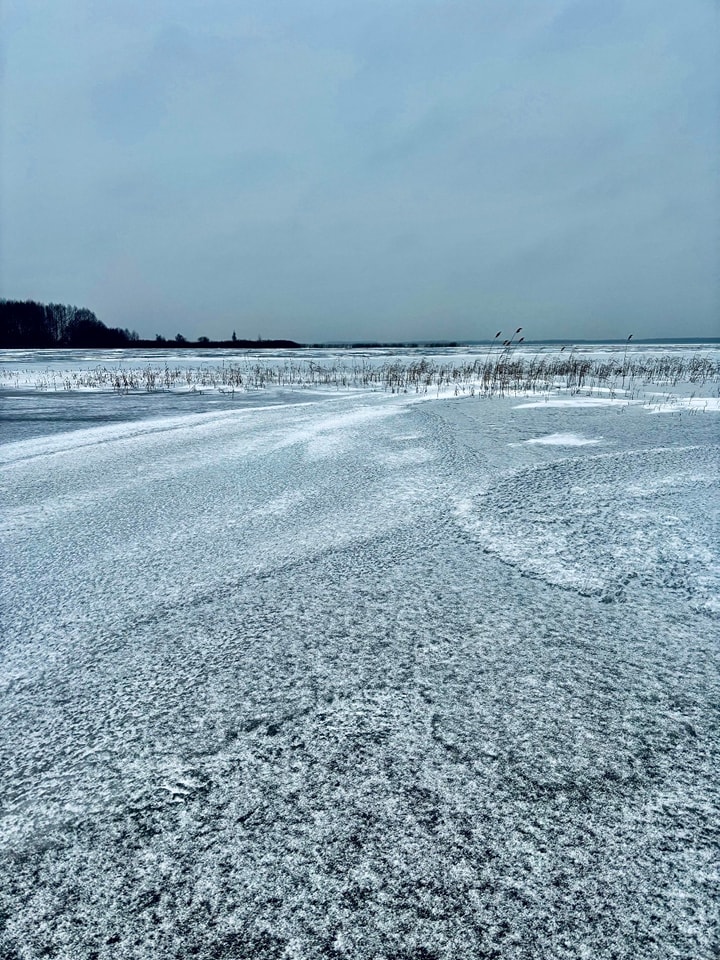 Зимова казка на Шацьких озерах: лід, сніг і тиха велич природи