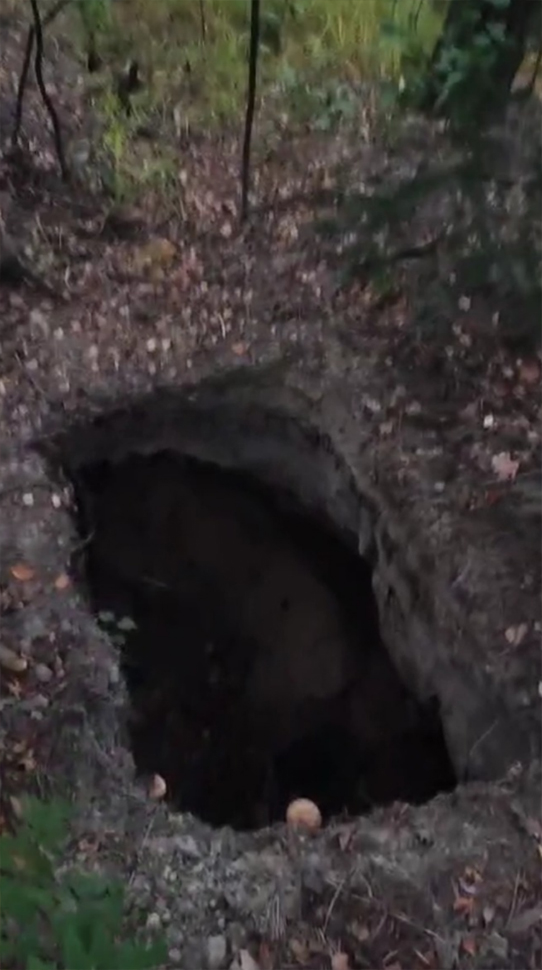 Волиньрада звернулась до уряду та правоохоронних органів щодо блокування діяльності КП «Волиньприродресурс» з боку ДП «Ліси України»