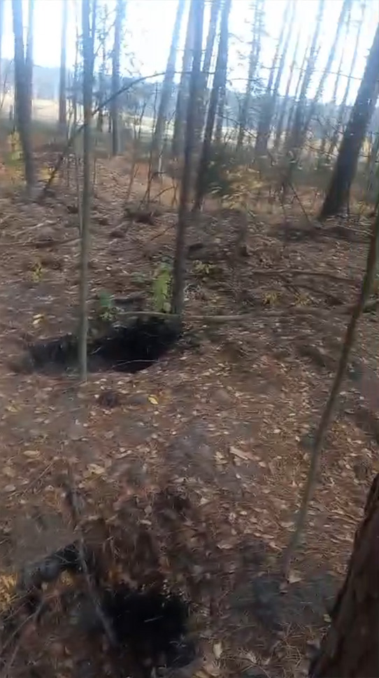 Волиньрада звернулась до уряду та правоохоронних органів щодо блокування діяльності КП «Волиньприродресурс» з боку ДП «Ліси України»