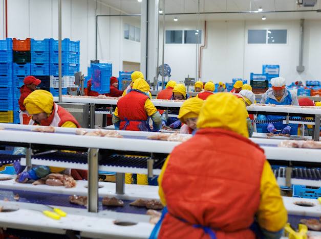 60 млн євро інвестицій у Волинь: Avesterra Group Дмитра Добкіна відкрила новий завод