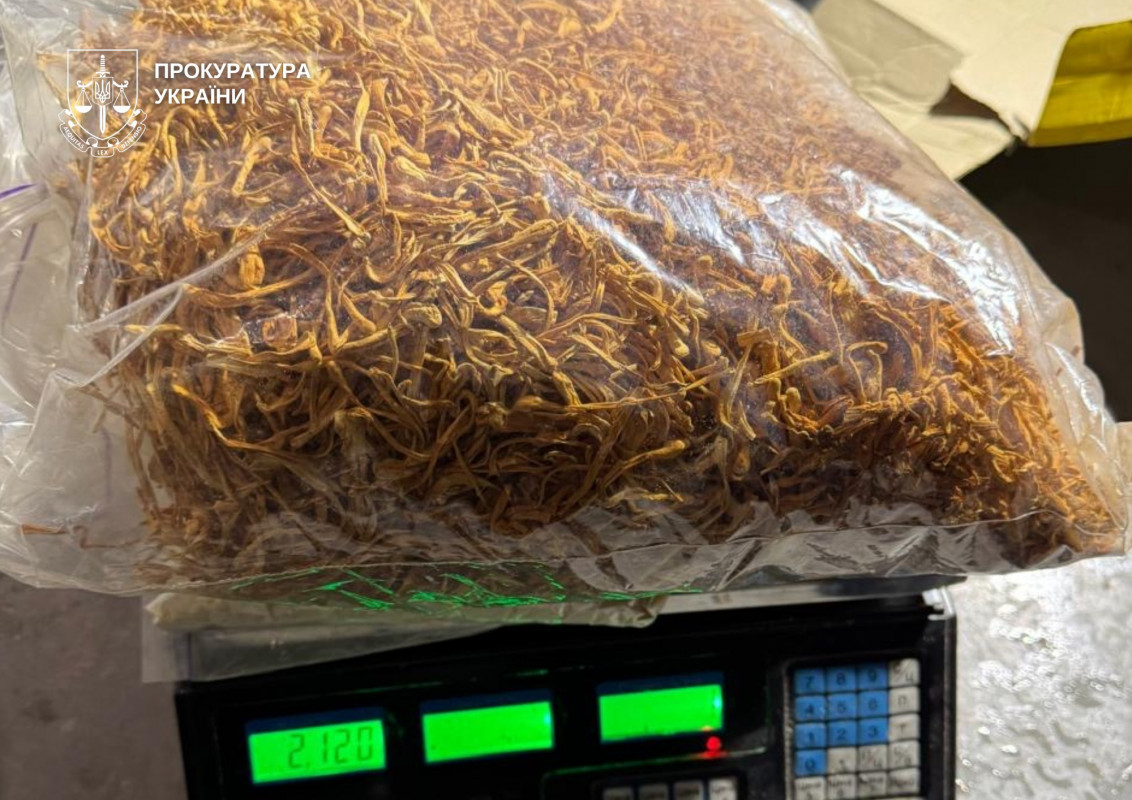 Незаконний бізнес на 430 млн грн: троє волинян організували мережу виготовлення і збуту наркотиків