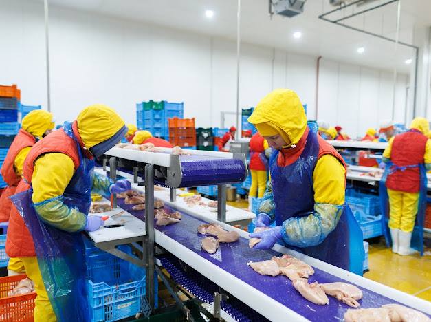 60 млн євро інвестицій у Волинь: Avesterra Group Дмитра Добкіна відкрила новий завод