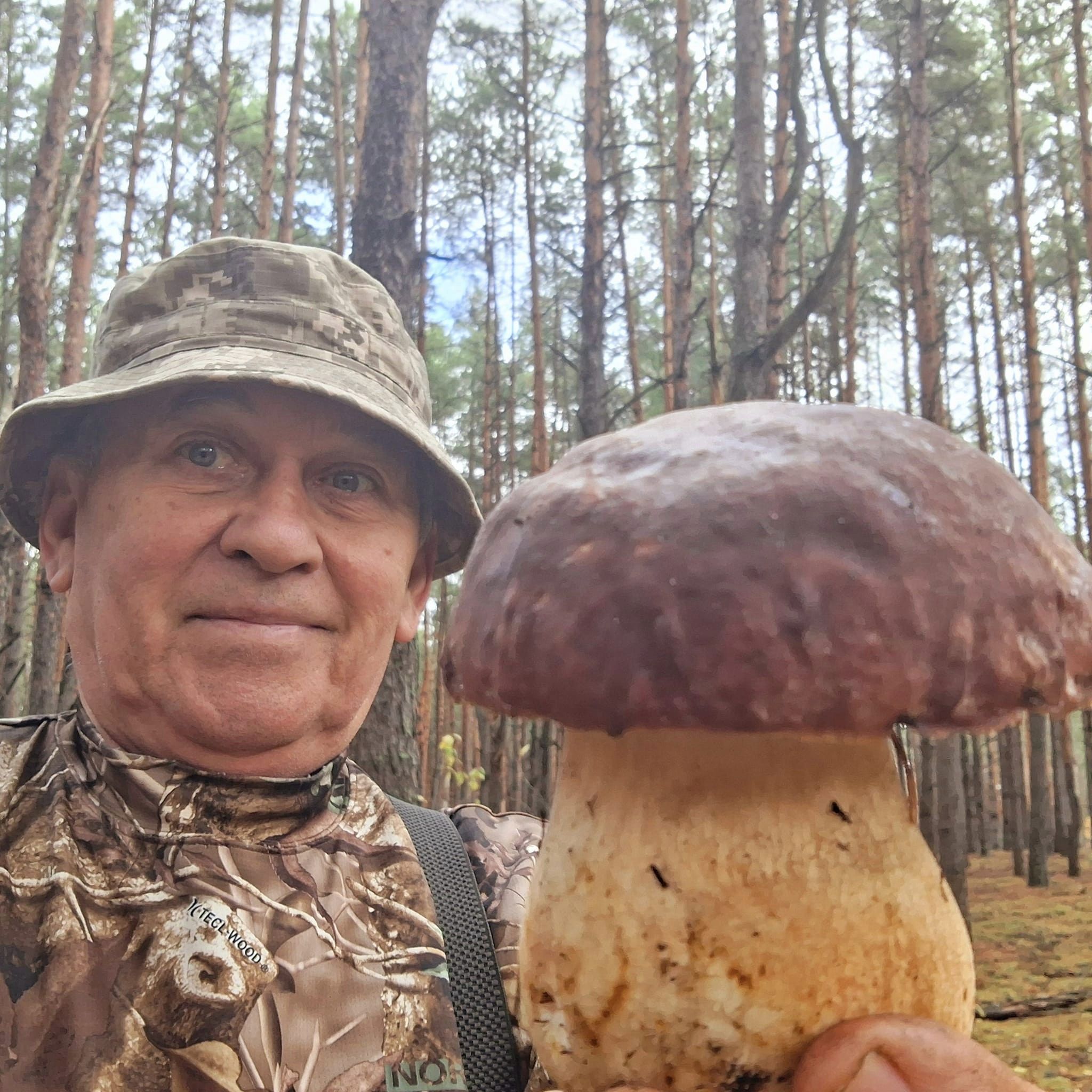 На Волині грибник знайшов велетенського боровика