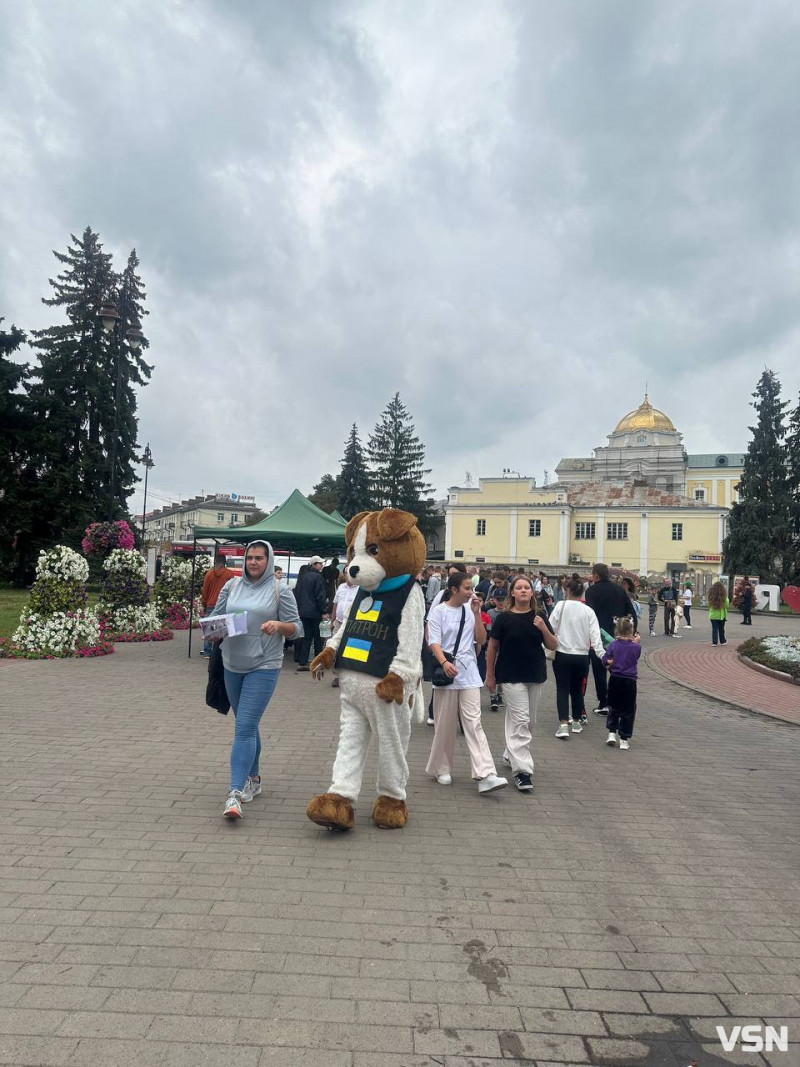 У центрі Луцька - масштабні наукові пікніки. Фото, відео