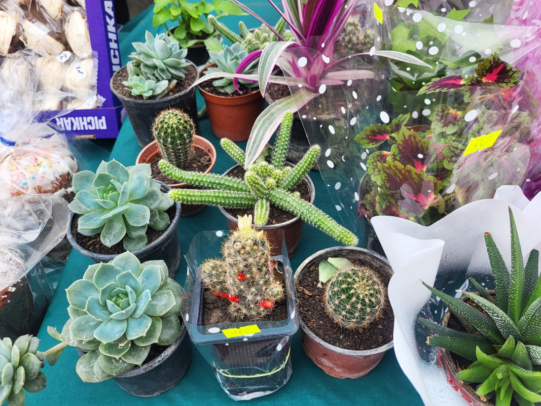 У Ковелі на Великодньому ярмарку вторгували понад 190 тисяч гривень для ЗСУ