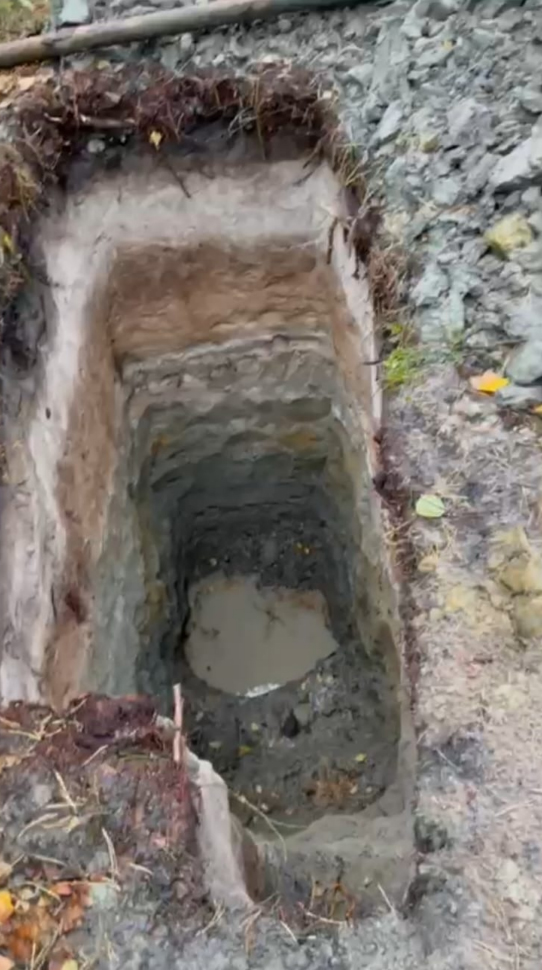 Волиньрада звернулась до уряду та правоохоронних органів щодо блокування діяльності КП «Волиньприродресурс» з боку ДП «Ліси України»