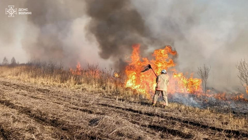 15 пожеж за добу: на Волині масово горіли екосистеми