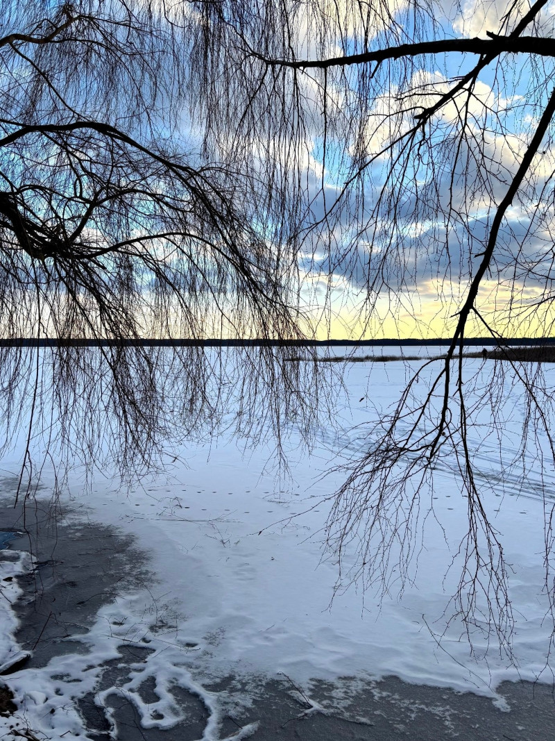 Зимова казка на Шацьких озерах: лід, сніг і тиха велич природи