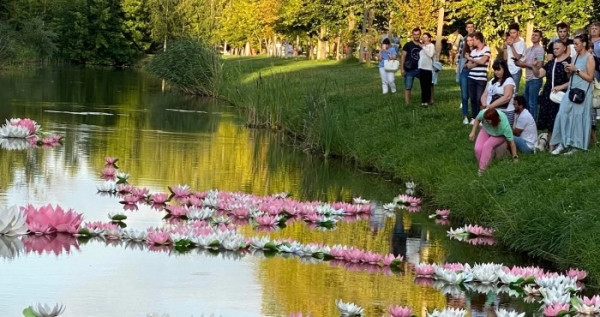 У Луцьку розквітли сотні «квітів душ», у пам’ять про дітей-жертв війни