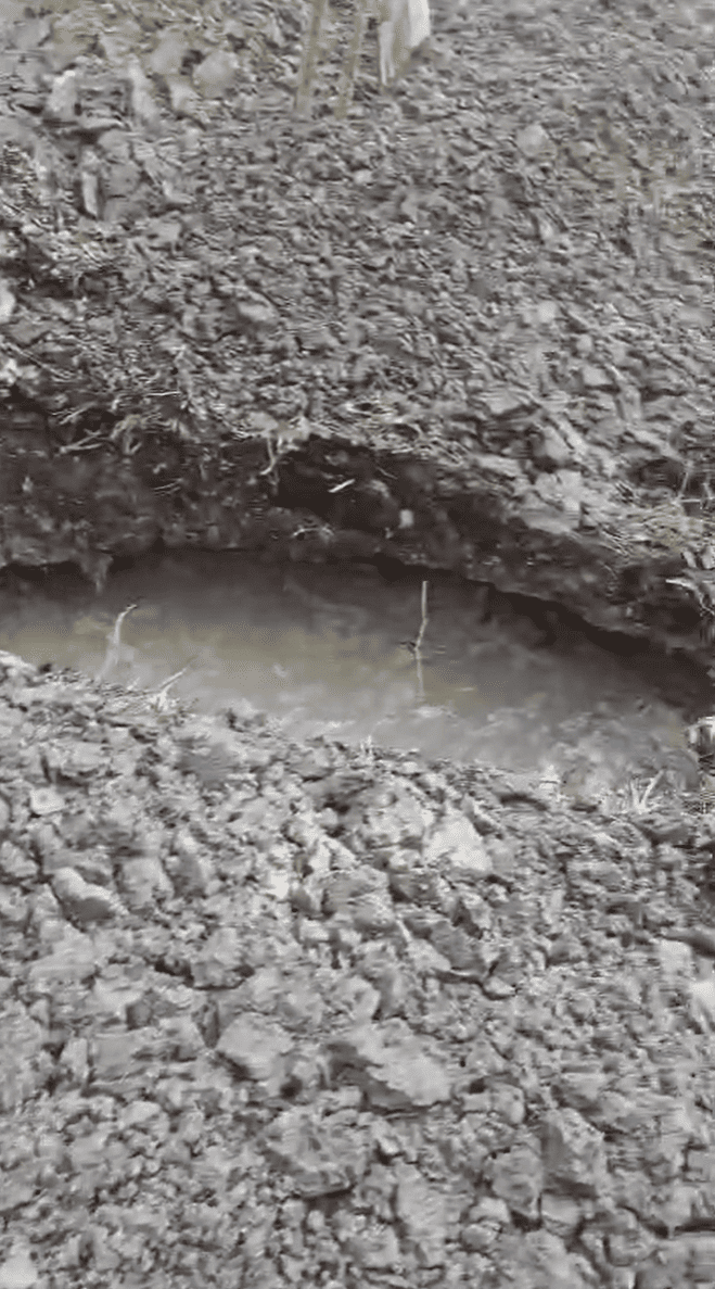 Волиньрада звернулась до уряду та правоохоронних органів щодо блокування діяльності КП «Волиньприродресурс» з боку ДП «Ліси України»