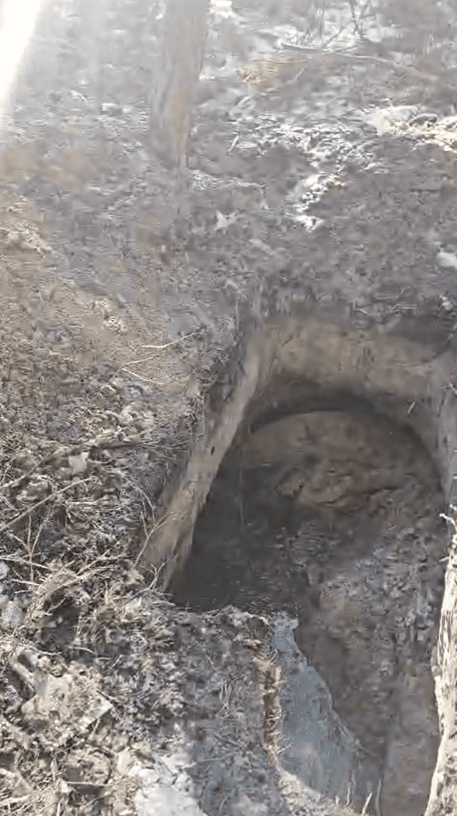 Волиньрада звернулась до уряду та правоохоронних органів щодо блокування діяльності КП «Волиньприродресурс» з боку ДП «Ліси України»