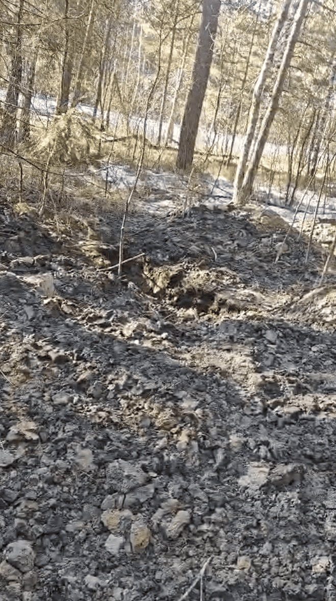 Волиньрада звернулась до уряду та правоохоронних органів щодо блокування діяльності КП «Волиньприродресурс» з боку ДП «Ліси України»