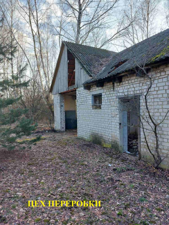 На Волині продають три будівлі за понад 230 тисяч гривень: що відомо про об’єкт