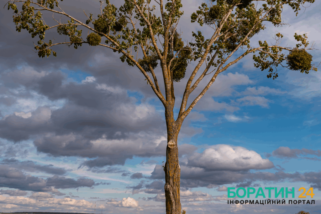 Фоторепортаж з Боратина: талановита фотомайстриня показала красу рідного краю