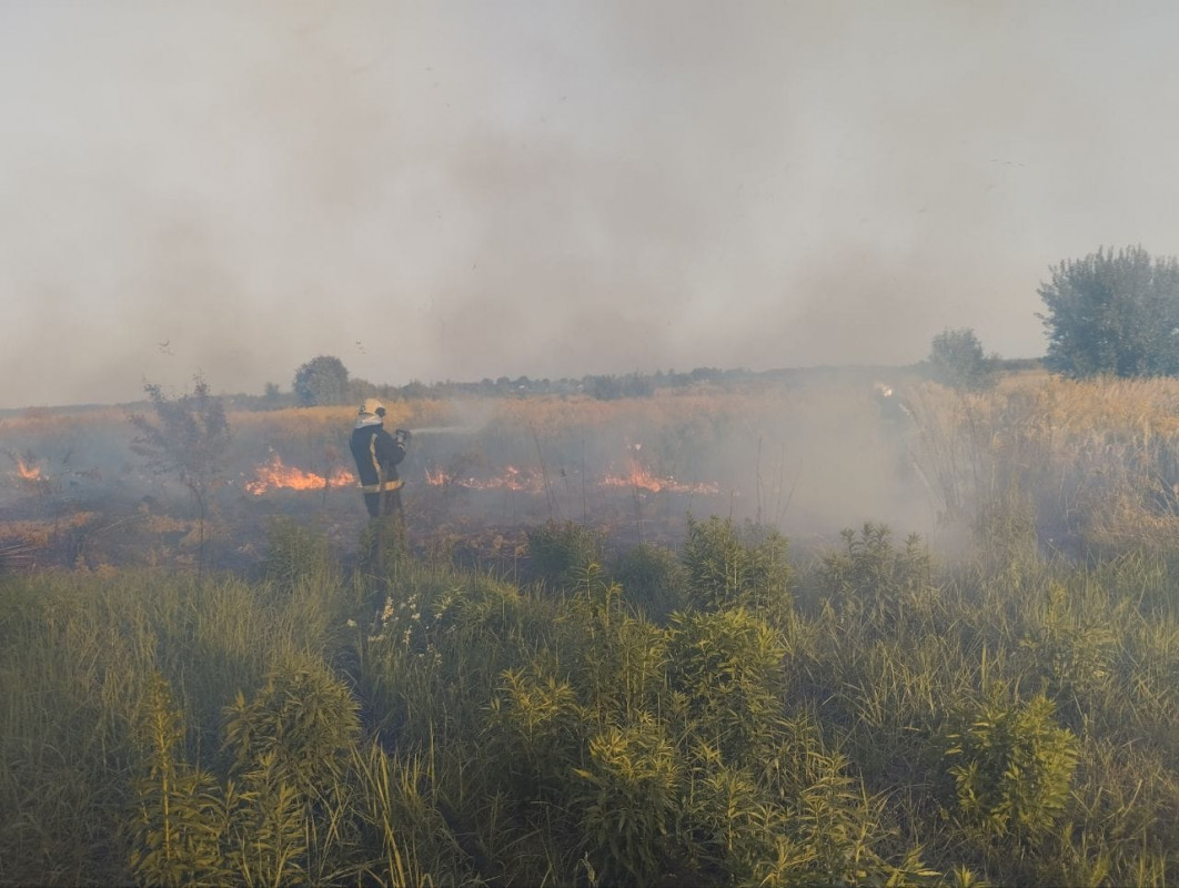 На Волині у пожежі сухої трави та чагарників загинув чоловік