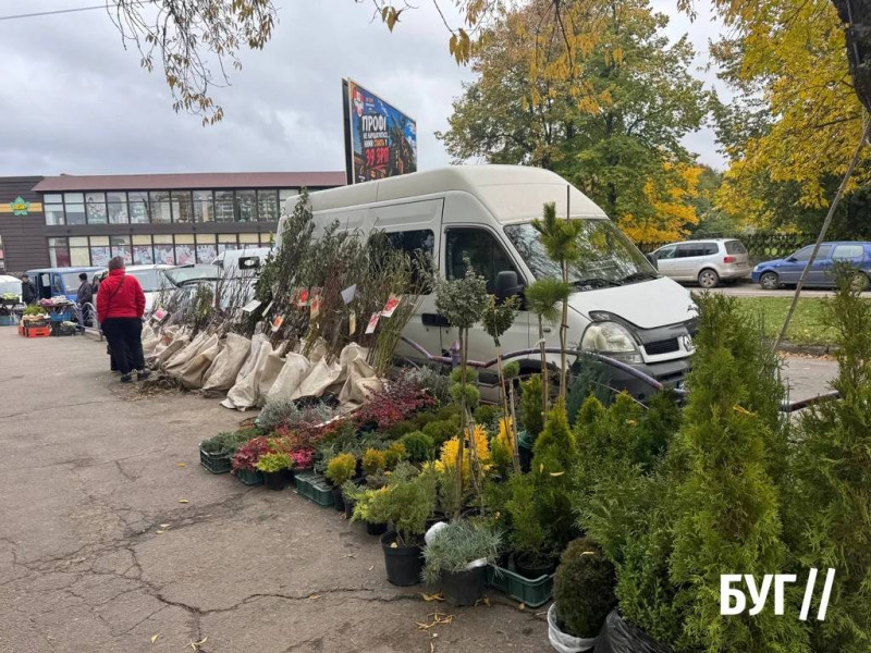 Що продають на осінньому ринку на Волині: ціни на овочі, фрукти та саджанці
