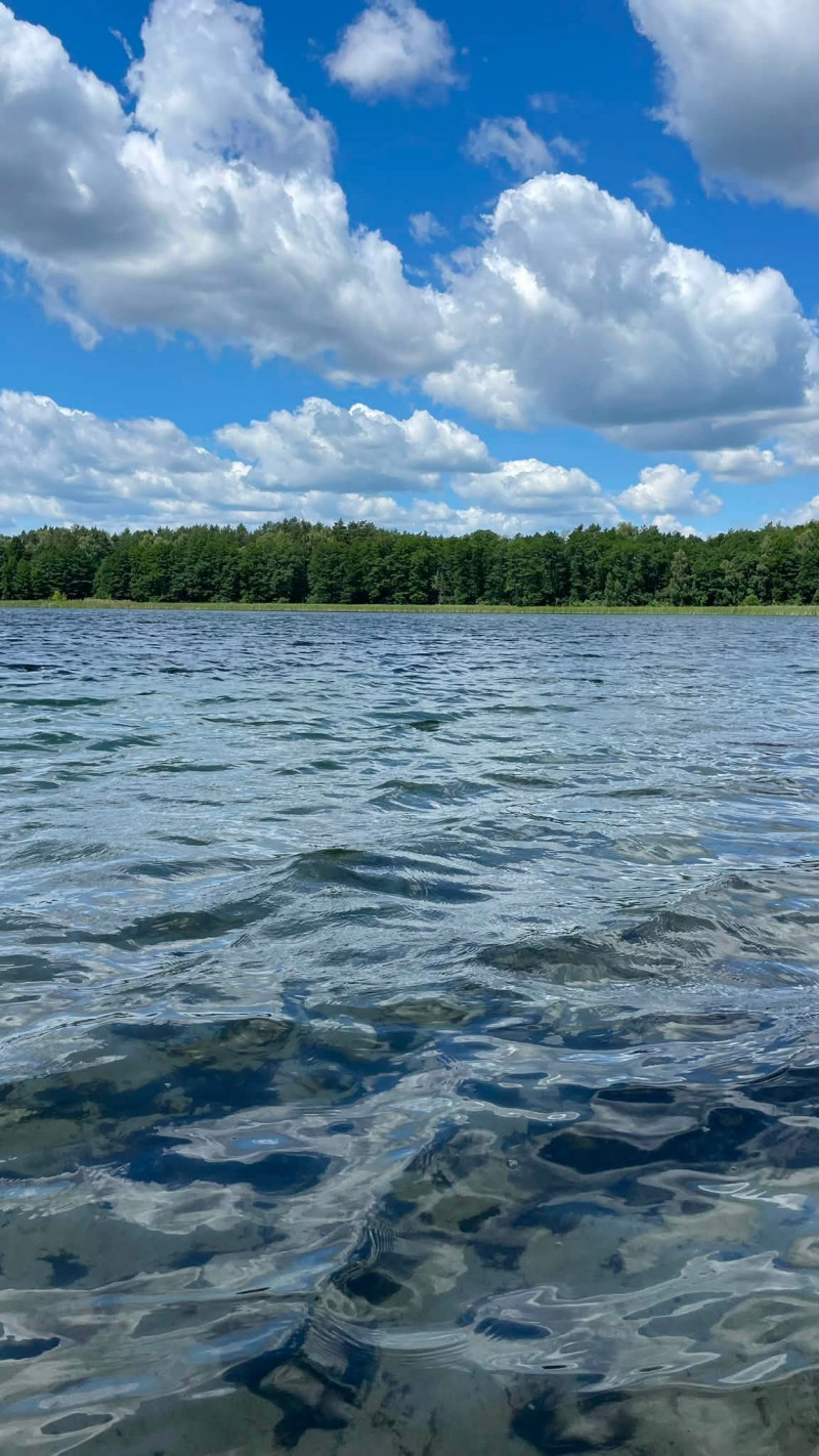 Кришталево чиста вода у казковий ліс: розповіли про озеро на Волині, яке популярне серед відпочивальників та рибалок