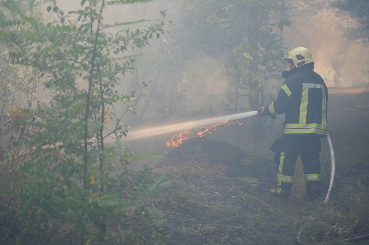 На Волині у пожежі сухої трави та чагарників загинув чоловік