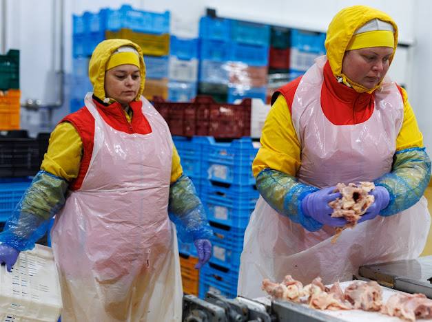 60 млн євро інвестицій у Волинь: Avesterra Group Дмитра Добкіна відкрила новий завод
