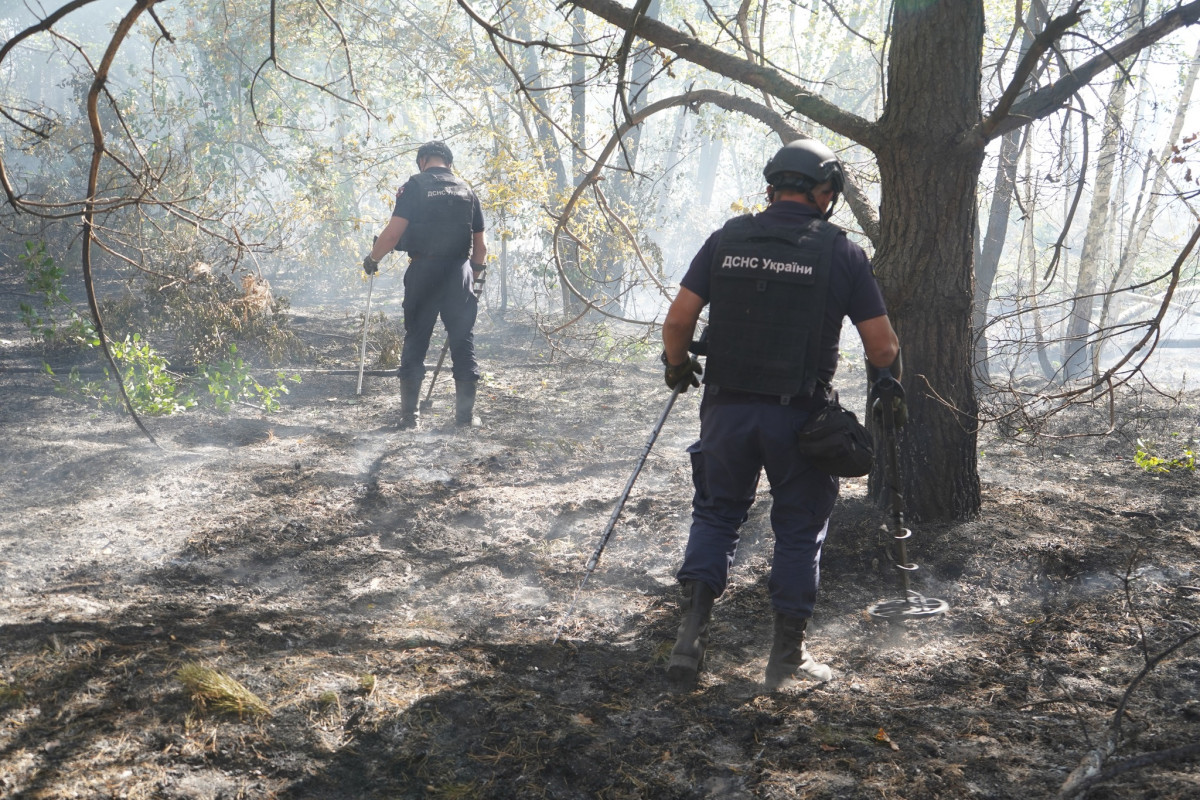 Волинські сапери продовжують розмінування на Донеччині: вже очистили понад 20 гектарів