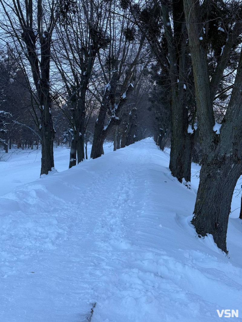 У луцькому парку в мороз –17 °C помітили бігуна без одягу