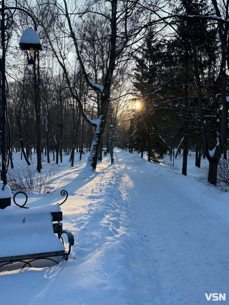 У луцькому парку в мороз –17 °C помітили бігуна без одягу