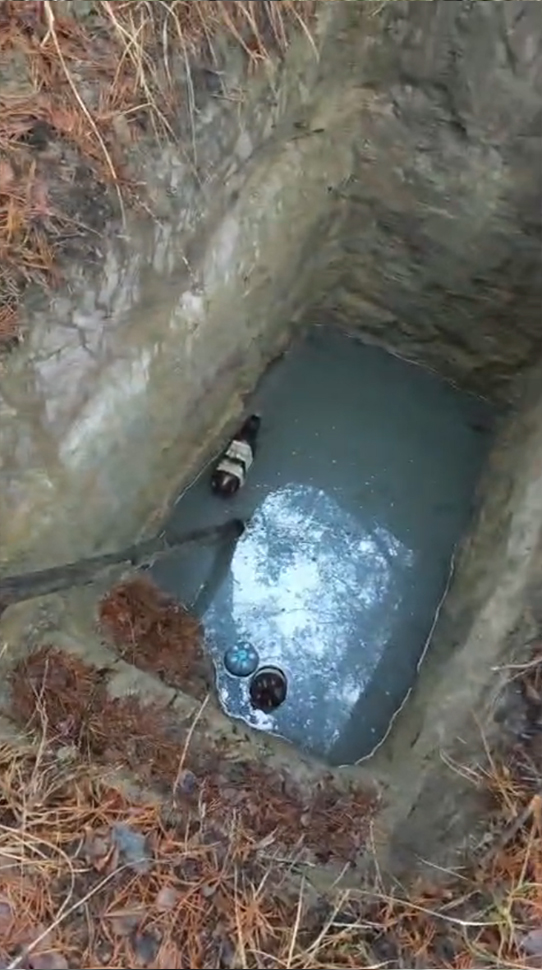 Волиньрада звернулась до уряду та правоохоронних органів щодо блокування діяльності КП «Волиньприродресурс» з боку ДП «Ліси України»