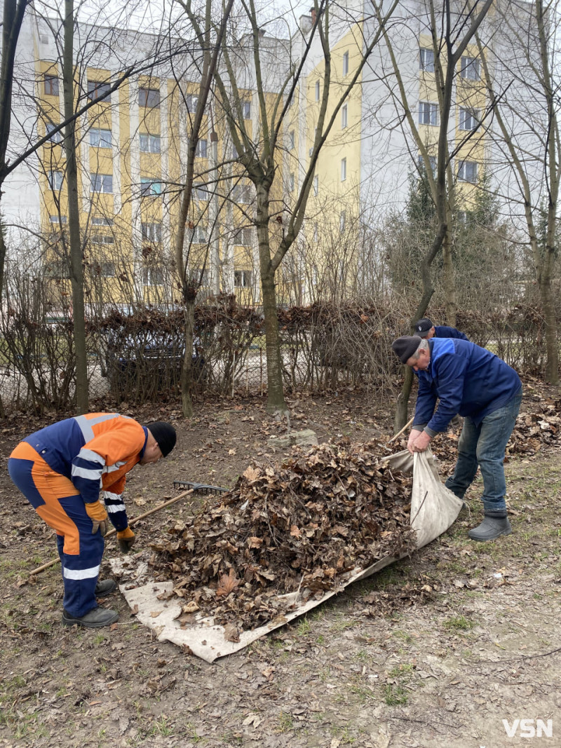 У Володимирі триває загальноміська толока