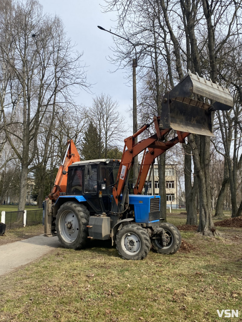 У Володимирі триває загальноміська толока