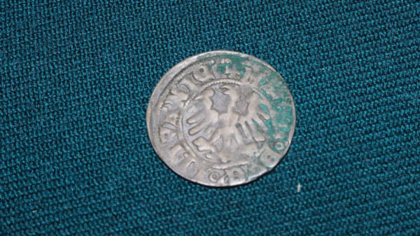 На Волині зберігають скарб із монетами часів польського короля Сигізмунда Августа
