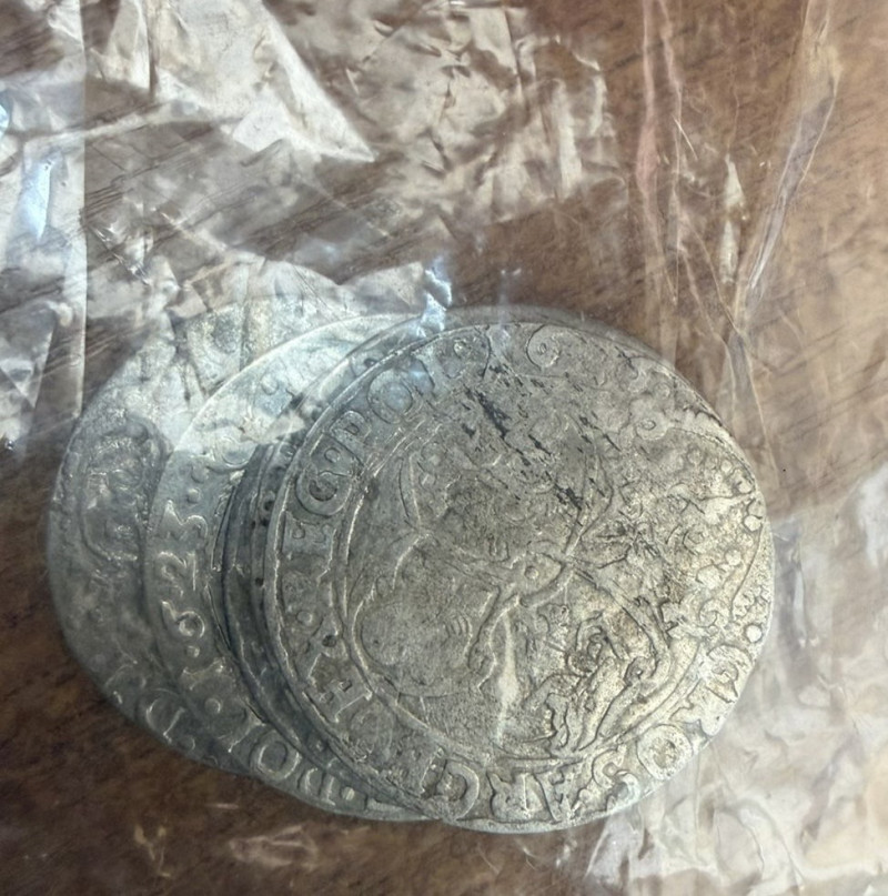 Через «Ягодин» киянка намагалася незаконно вивезти 223 старовинні монети