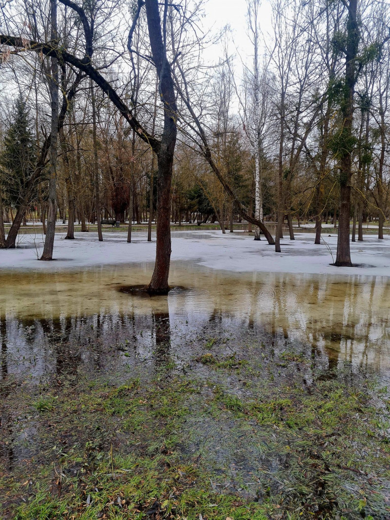 У Луцьку затопило третину території центрального парку: причина