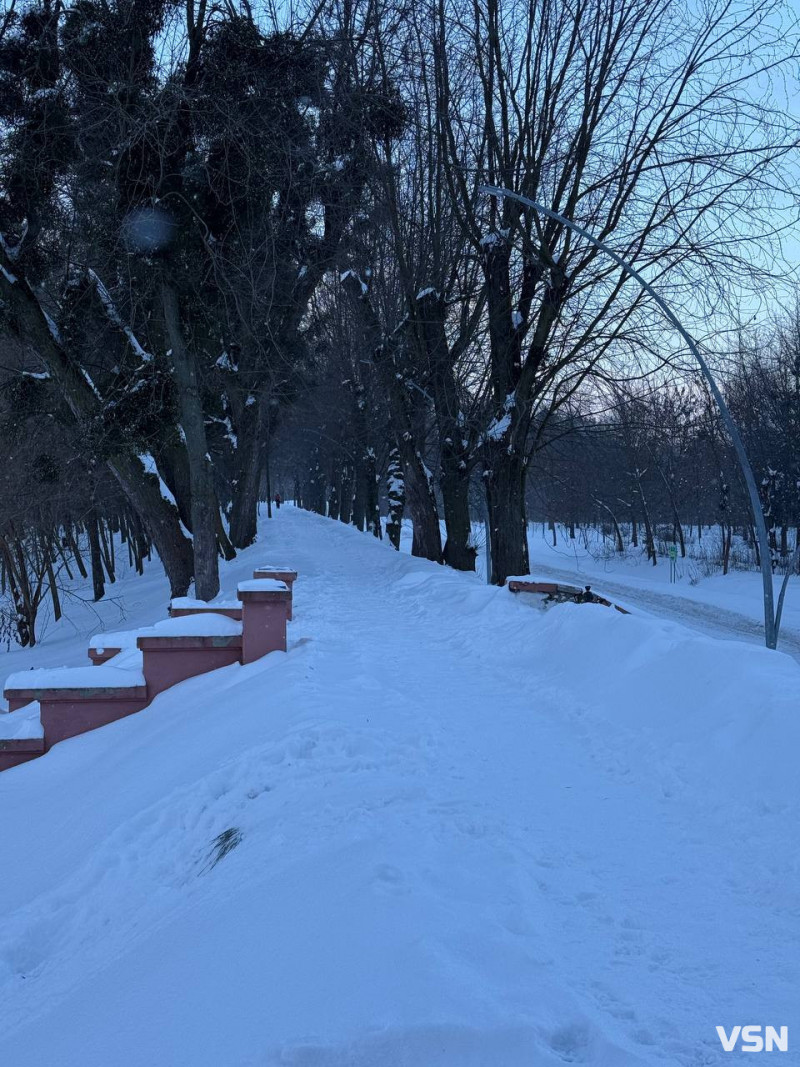 У луцькому парку в мороз –17 °C помітили бігуна без одягу