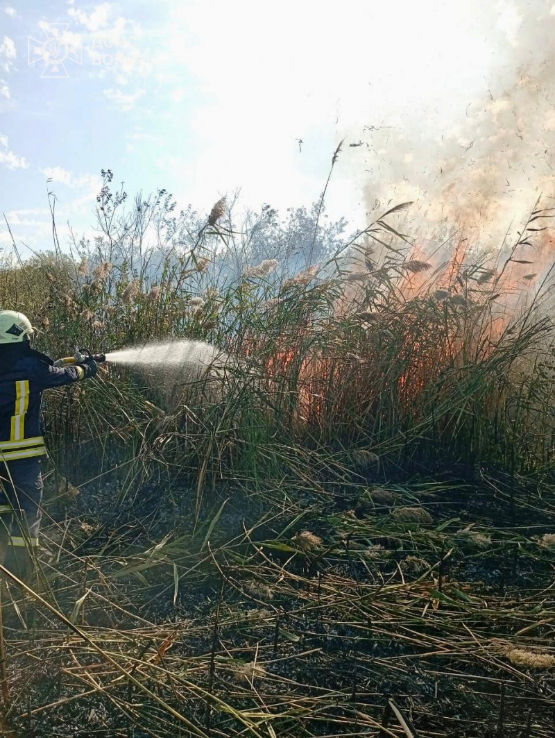 Через людську недбалість на Волині згоріла господарська споруда