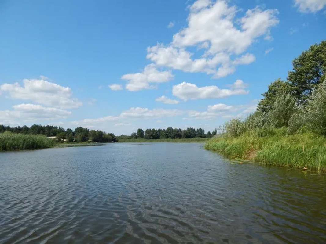 Село, в якому час зупинився: дивовижна знахідка на Волині