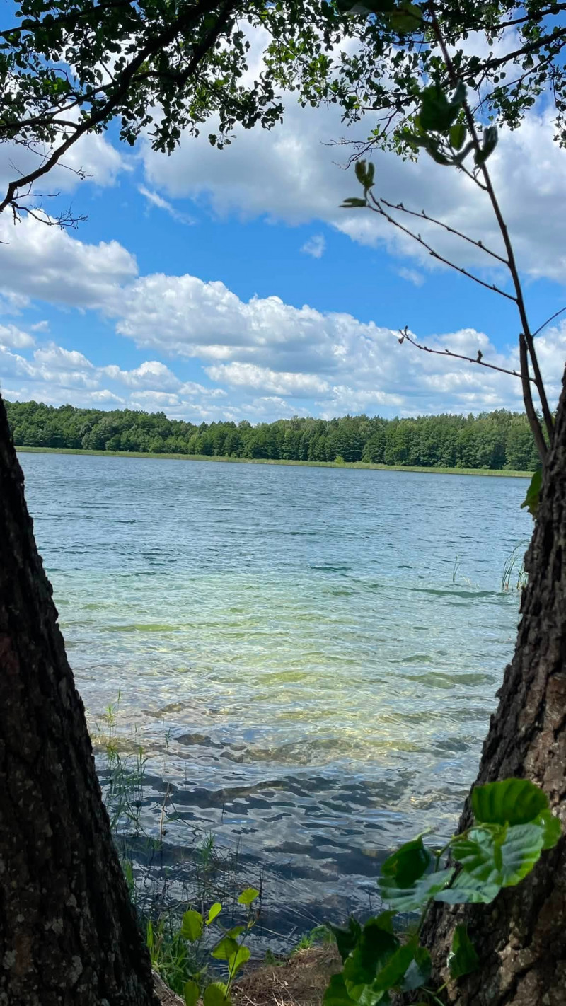 Кришталево чиста вода у казковий ліс: розповіли про озеро на Волині, яке популярне серед відпочивальників та рибалок