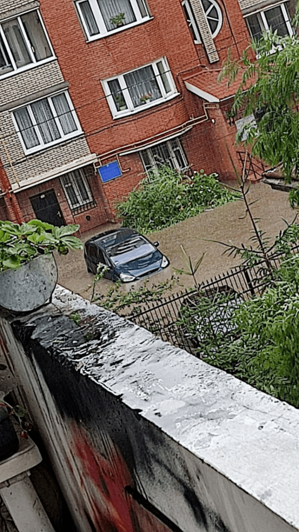 Зламані дерева та «плаваючі» машини: у Тернополі негода наробила лиха