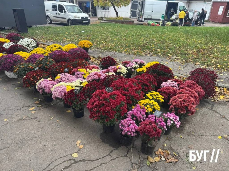 Що продають на осінньому ринку на Волині: ціни на овочі, фрукти та саджанці