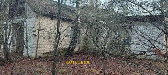 На Волині продають три будівлі за понад 230 тисяч гривень: що відомо про об’єкт