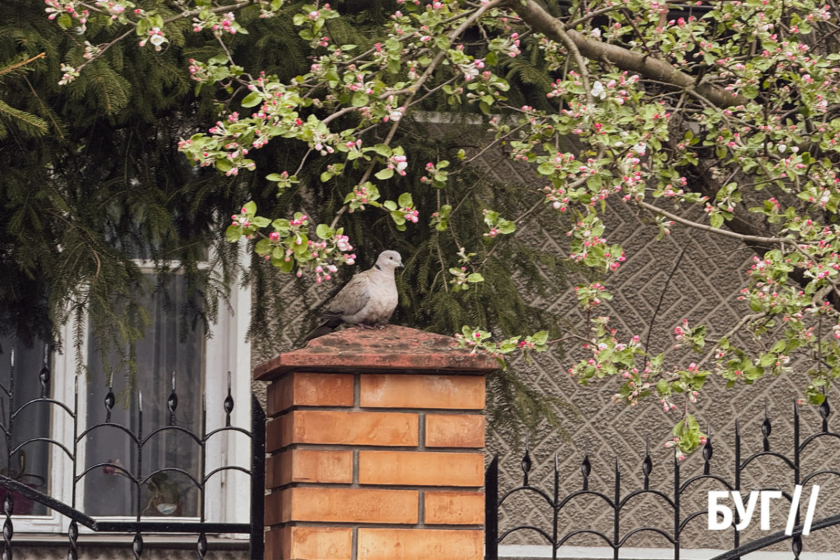Як змінюється навесні місто на Волині. Фоторепортаж