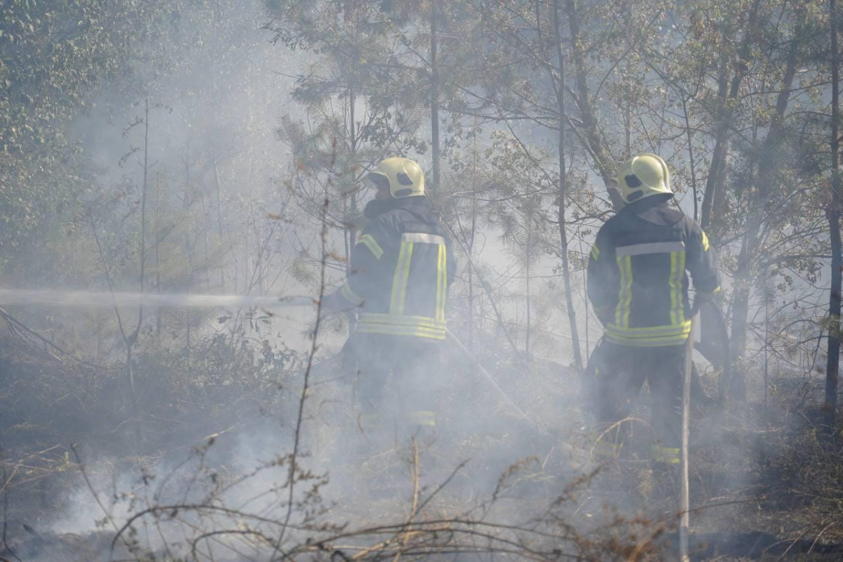 На Волині у пожежі сухої трави та чагарників загинув чоловік