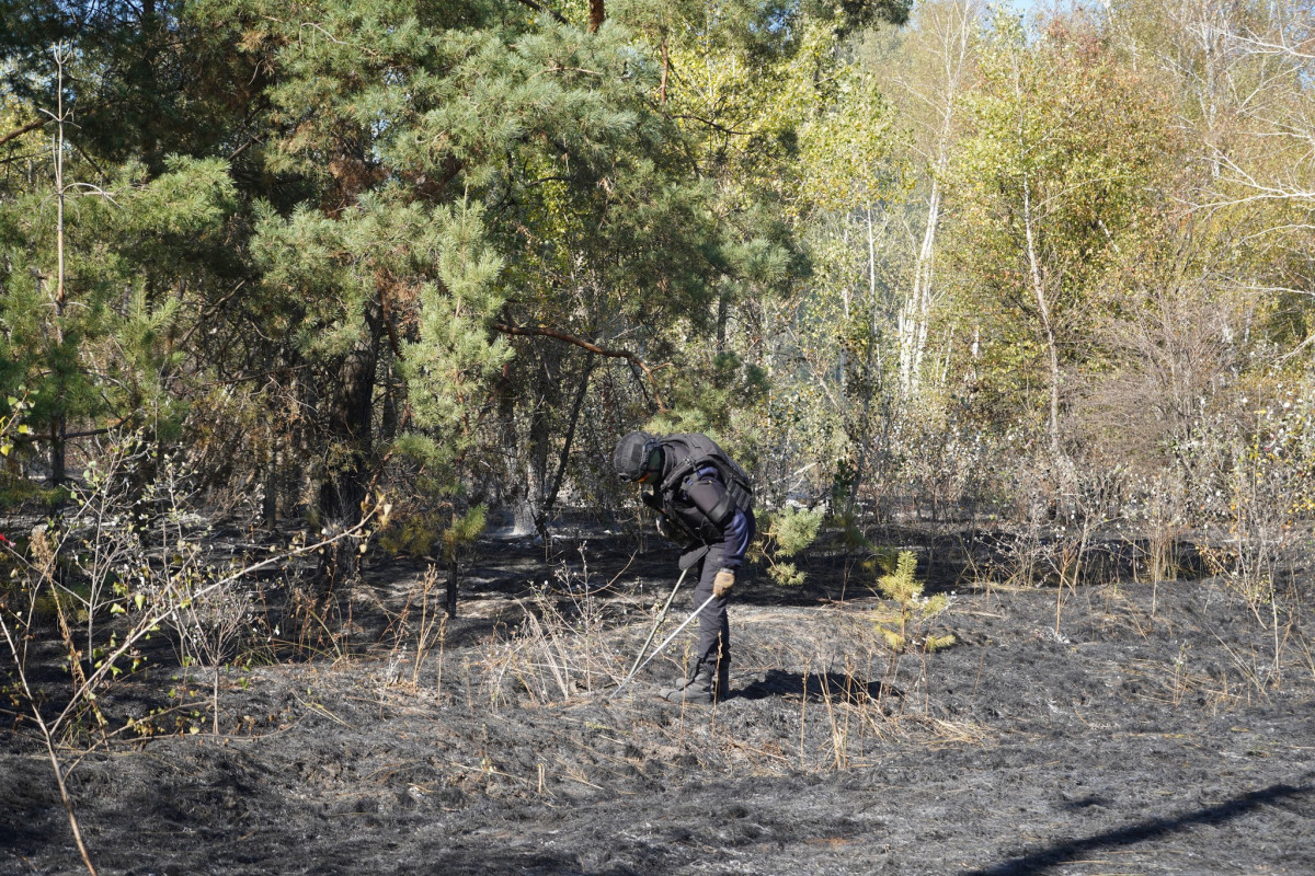 Волинські сапери продовжують розмінування на Донеччині: вже очистили понад 20 гектарів