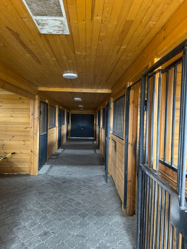 На Волині продають конюшню та господарські будівлі: стартова ціна - понад 1,5 мільйона