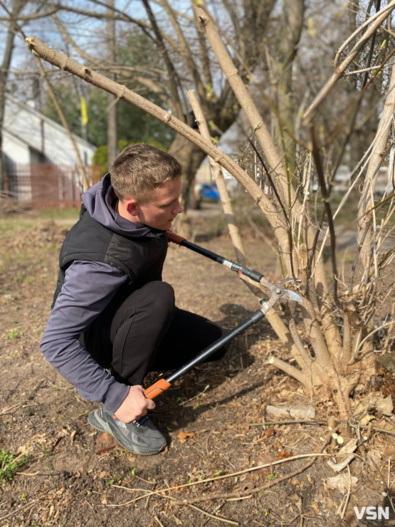 У Володимирі триває загальноміська толока