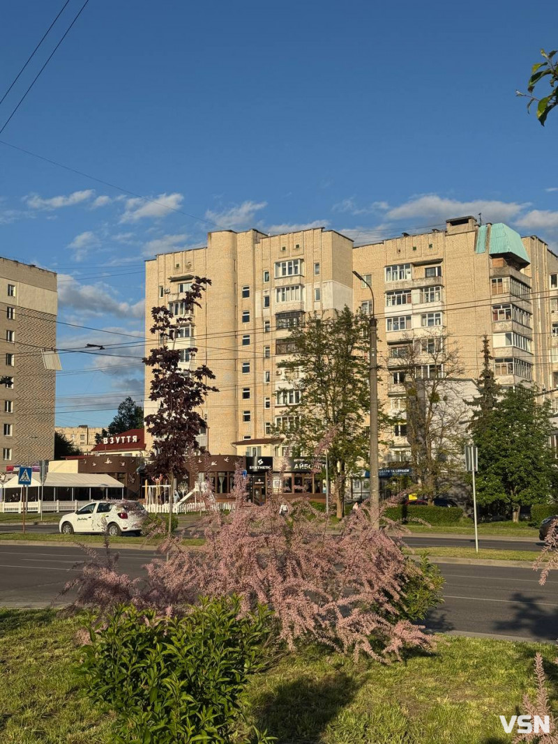 «Боже дерево»: у Луцьку зацвів тамарикс
