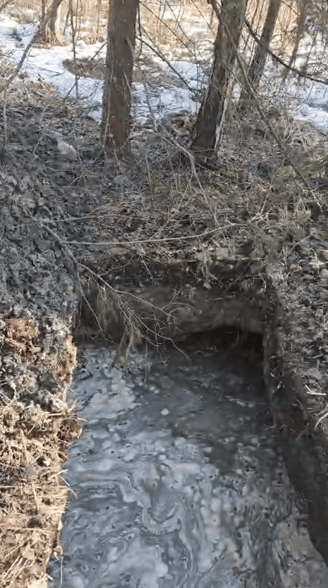 Волиньрада звернулась до уряду та правоохоронних органів щодо блокування діяльності КП «Волиньприродресурс» з боку ДП «Ліси України»