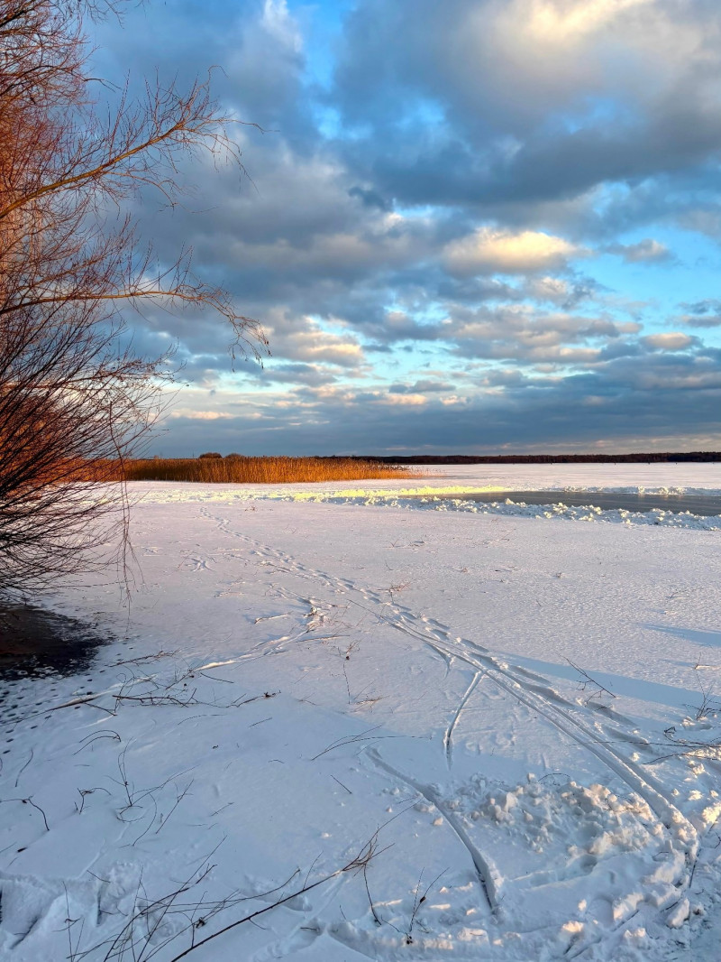 Зимова казка на Шацьких озерах: лід, сніг і тиха велич природи